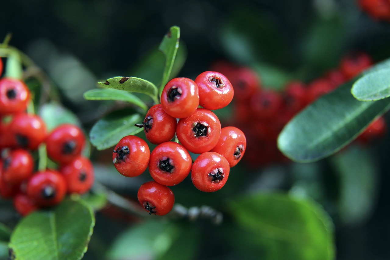 对他而言 对他而言