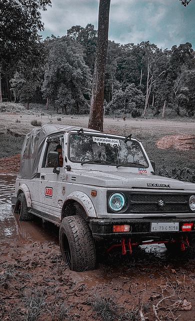 国米上赛季 国米上赛季