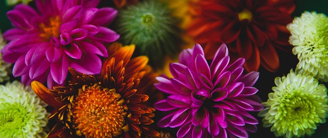 他的戰術見 他的戰術見