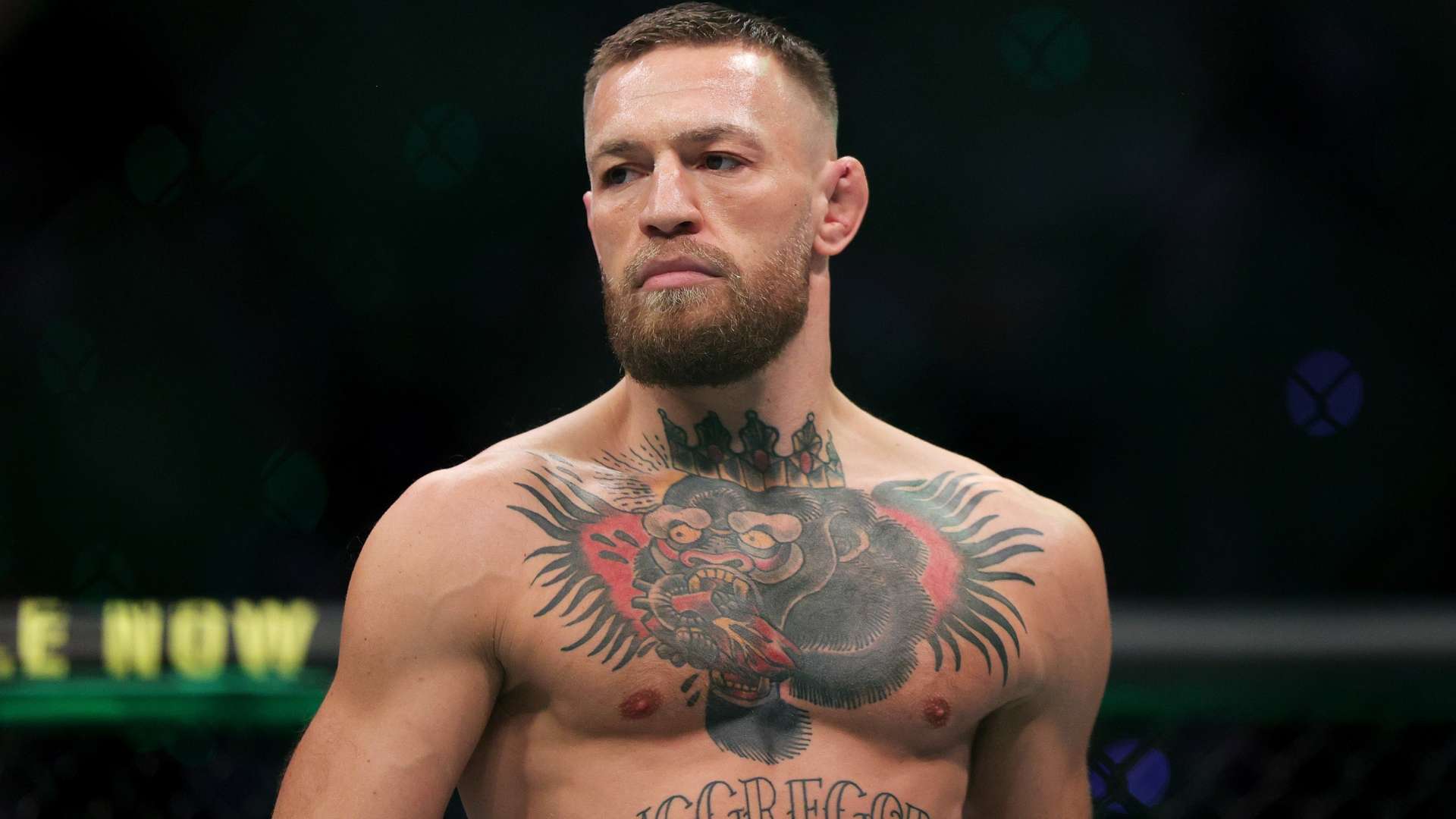 哈兰德在一 哈兰德在一